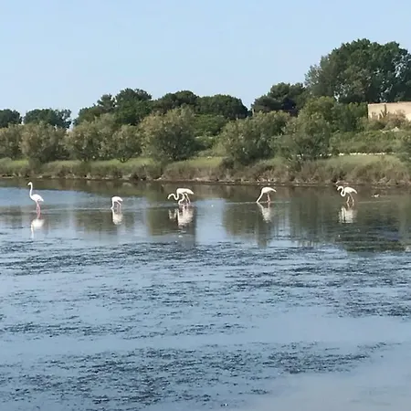Quietovivere Vakantieboerderij