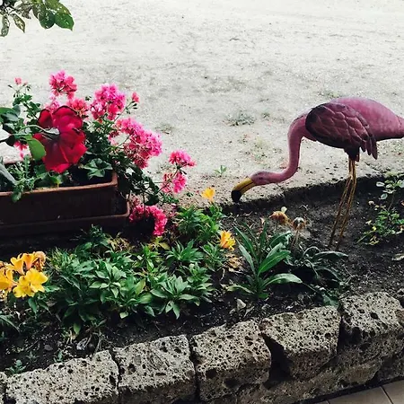 Quietovivere Feriegård *