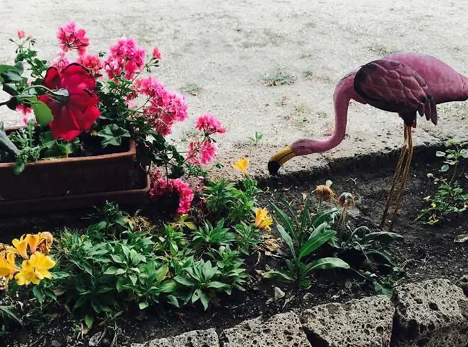 Quietovivere مزرعة للإقامة *