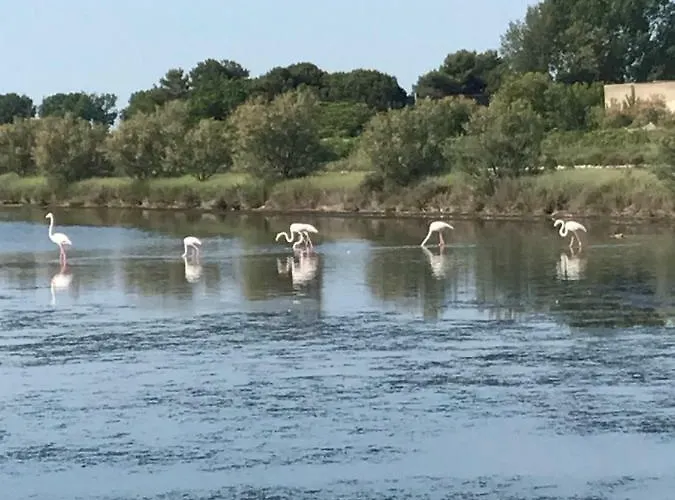 Quietovivere مزرعة للإقامة